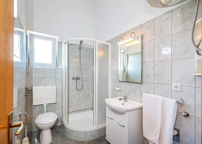 1 With Swimming Pool Nikola Apartman Nin